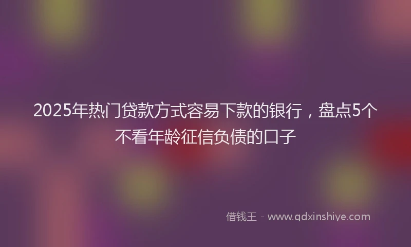 2025年热门贷款方式容易下款的银行,盘点5个不看年龄征信负债的口子