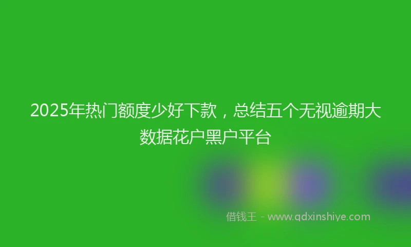 2025年热门额度少好下款，总结五个无视逾期大数据花户黑户平台