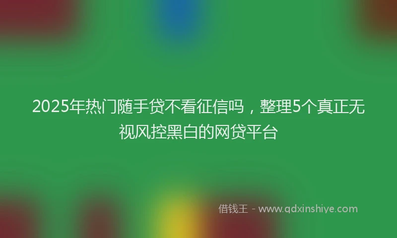 2025年热门随手贷不看征信吗，整理5个真正无视风控黑白的网贷平台