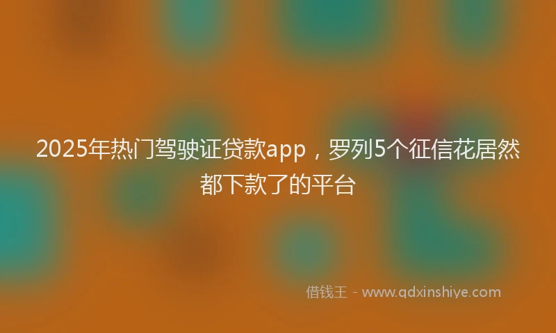 2025年热门驾驶证贷款app，罗列5个征信花居然都下款了的平台