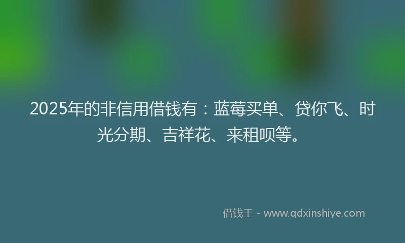 2025年的非信用借钱有：蓝莓买单、贷你飞、时光分期、吉祥花、来租呗等。