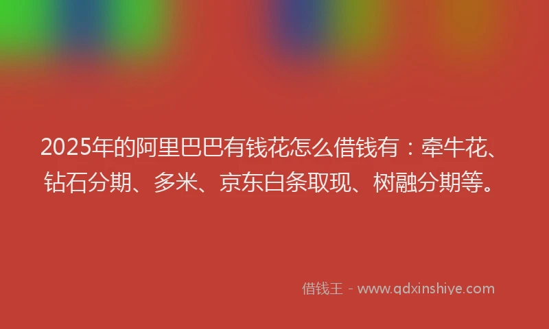 2025年的阿里巴巴有钱花怎么借钱有：牵牛花、钻石分期、多米、京东白条取现、树融分期等。
