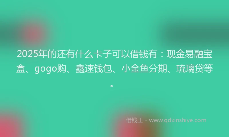 2025年的还有什么卡子可以借钱有：现金易融宝盒、gogo购、鑫速钱包、小金鱼分期、琉璃贷等。