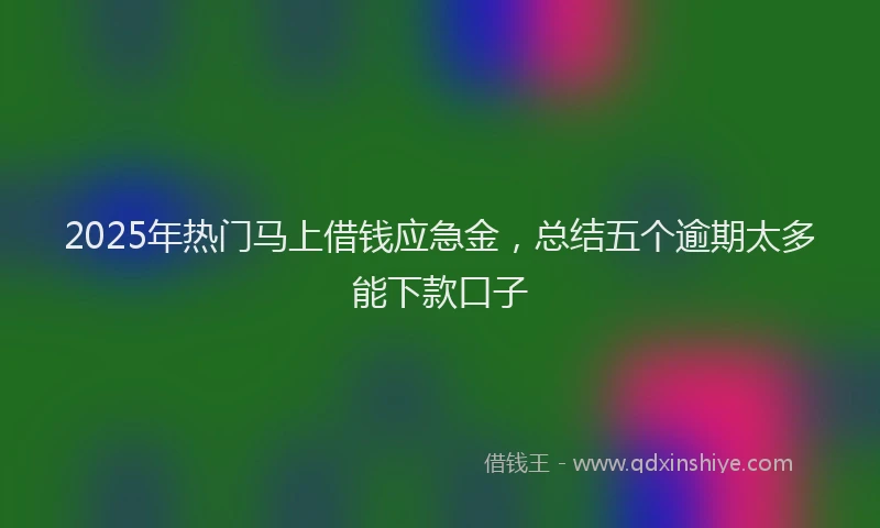 2025年热门马上借钱应急金,总结五个逾期太多能下款口子