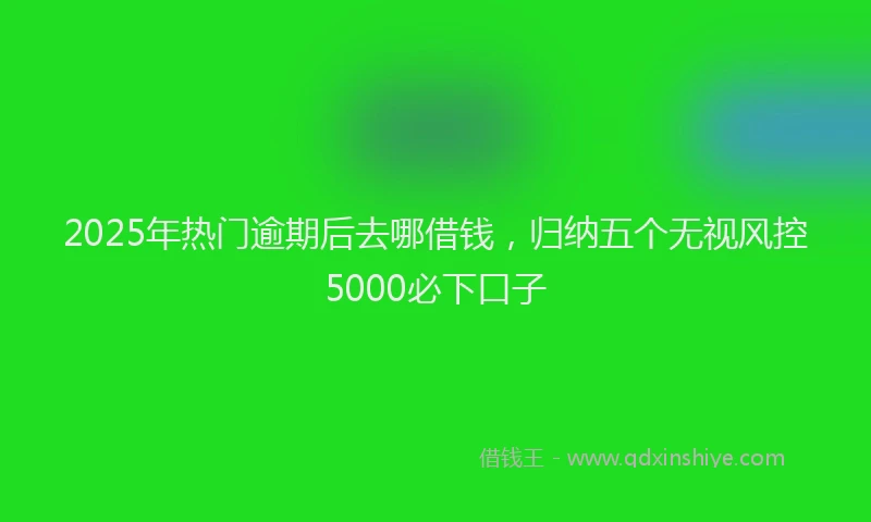2025年热门逾期后去哪借钱,归纳五个无视风控5000必下口子