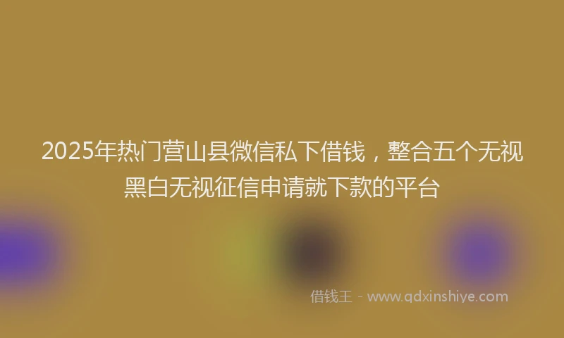 2025年热门营山县微信私下借钱，整合五个无视黑白无视征信申请就下款的平台