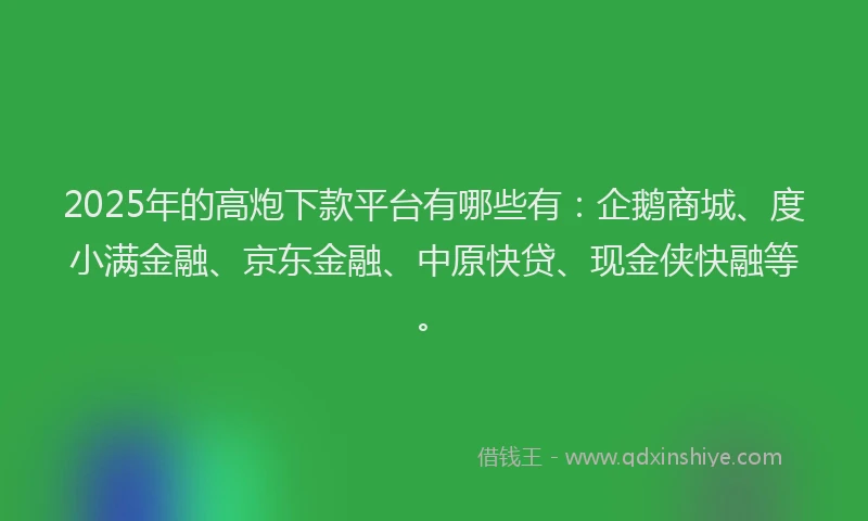 2025年的高炮下款平台有哪些有：企鹅商城、度小满金融、京东金融、中原快贷、现金侠快融等。