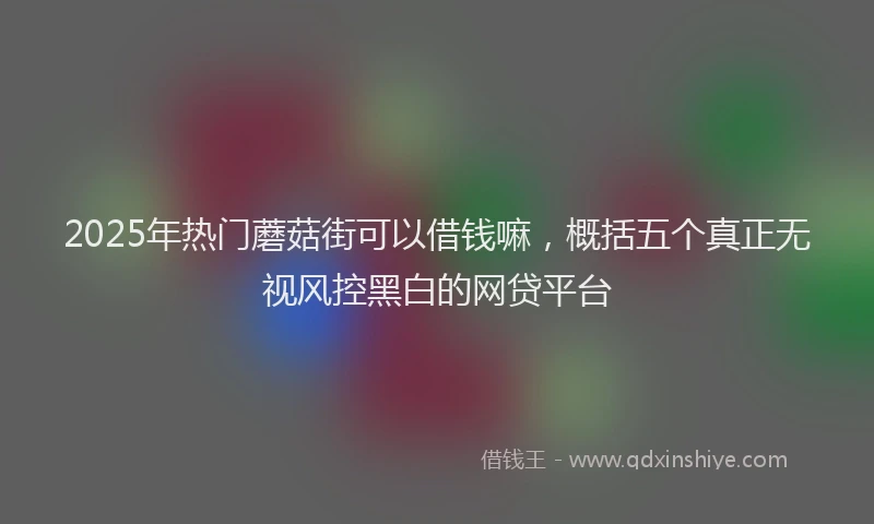 2025年热门蘑菇街可以借钱嘛，概括五个真正无视风控黑白的网贷平台