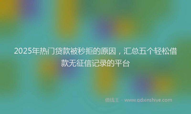 2025年热门贷款被秒拒的原因，汇总五个轻松借款无征信记录的平台