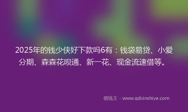 2025年的钱少侠好下款吗6有：钱袋易贷、小爱分期、森森花呗通、新一花、现金流速借等。