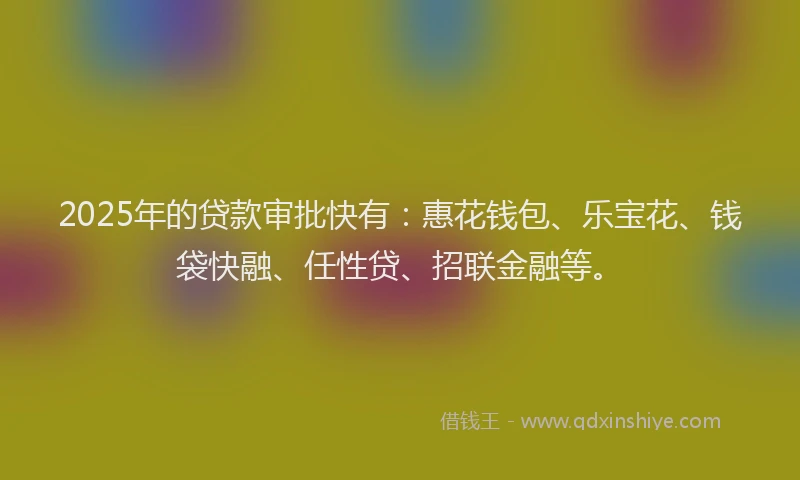 2025年的贷款审批快有:惠花钱包、乐宝花、钱袋快融、任性贷、招联金融等。