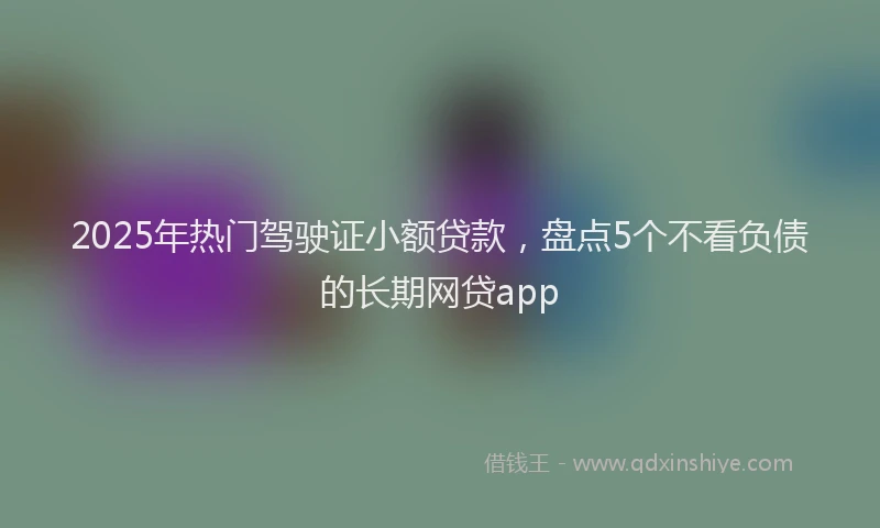 2025年热门驾驶证小额贷款，盘点5个不看负债的长期网贷app