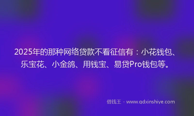2025年的那种网络贷款不看征信有:小花钱包、乐宝花、小金鸽、用钱宝、易贷Pro钱包等。