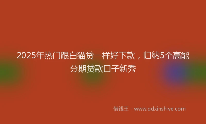 2025年热门跟白猫贷一样好下款，归纳5个高能分期贷款口子新秀