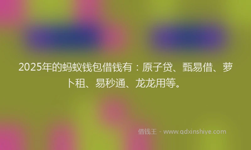 2025年的蚂蚁钱包借钱有：原子贷、甄易借、萝卜租、易秒通、龙龙用等。