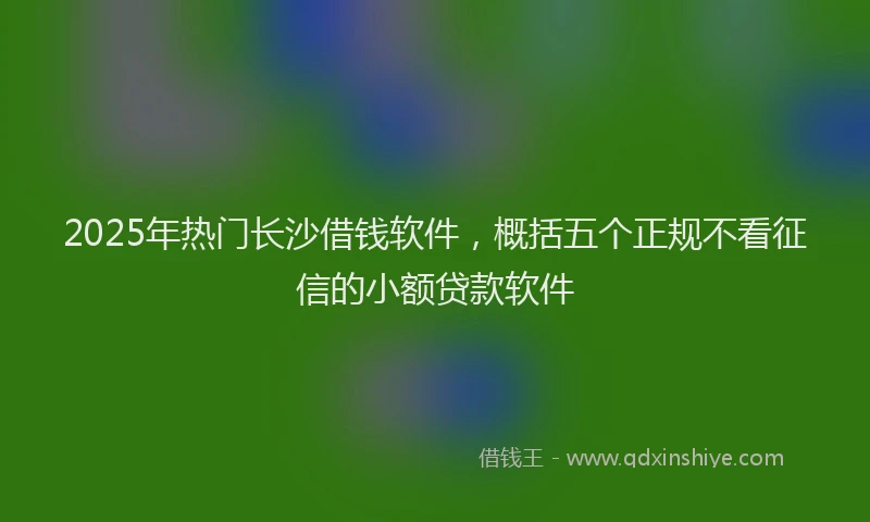 2025年热门长沙借钱软件,概括五个正规不看征信的小额贷款软件