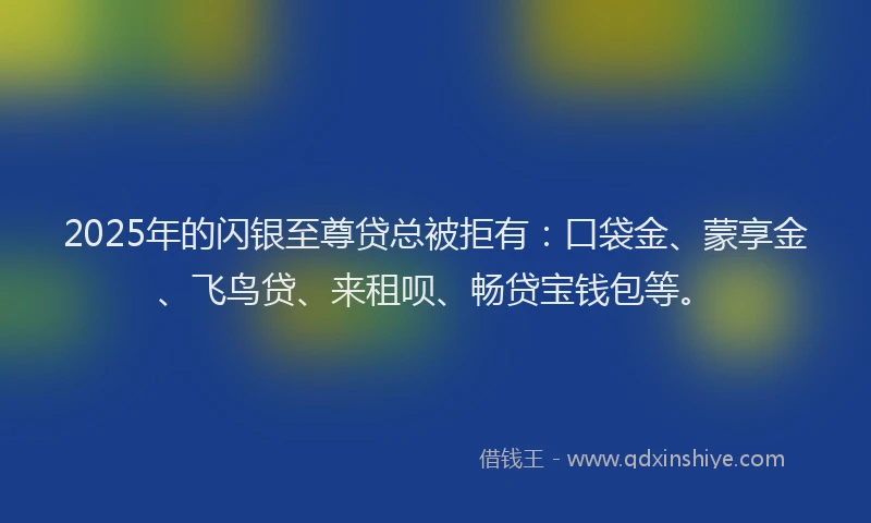 2025年的闪银至尊贷总被拒有:口袋金、蒙享金、飞鸟贷、来租呗、畅贷宝钱包等。