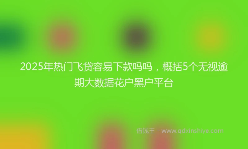 2025年热门飞贷容易下款吗吗，概括5个无视逾期大数据花户黑户平台