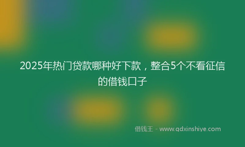 2025年热门贷款哪种好下款,整合5个不看征信的借钱口子