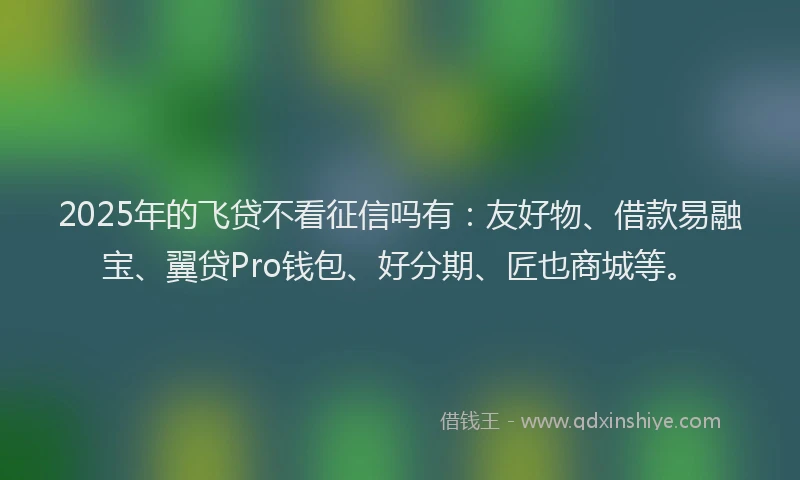 2025年的飞贷不看征信吗有:友好物、借款易融宝、翼贷Pro钱包、好分期、匠也商城等。