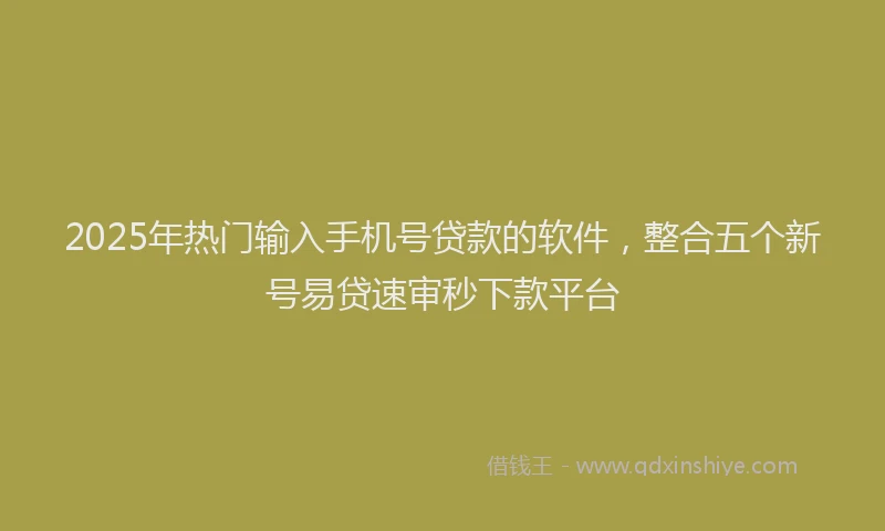 2025年热门输入手机号贷款的软件,整合五个新号易贷速审秒下款平台