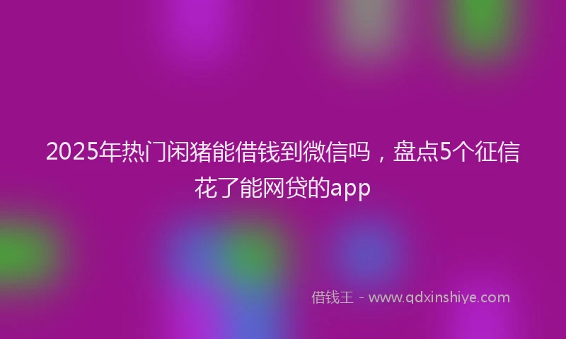 2025年热门闲猪能借钱到微信吗，盘点5个征信花了能网贷的app