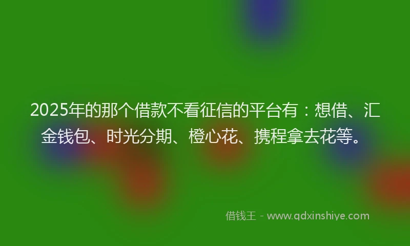 2025年的那个借款不看征信的平台有：想借、汇金钱包、时光分期、橙心花、携程拿去花等。