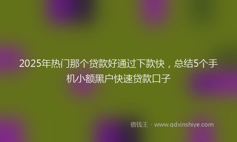 2025年热门那个贷款好通过下款快，总结5个手机小额黑户快速贷款口子