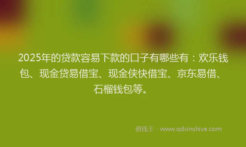 2025年的贷款容易下款的口子有哪些有:欢乐钱包、现金贷易借宝、现金侠快借宝、京东易借、石榴钱包等。