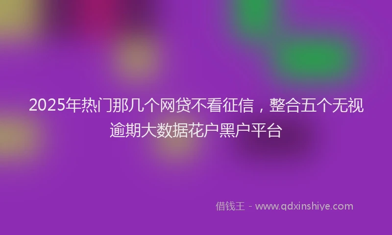 2025年热门那几个网贷不看征信,整合五个无视逾期大数据花户黑户平台