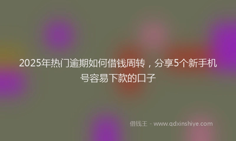 2025年热门逾期如何借钱周转,分享5个新手机号容易下款的口子