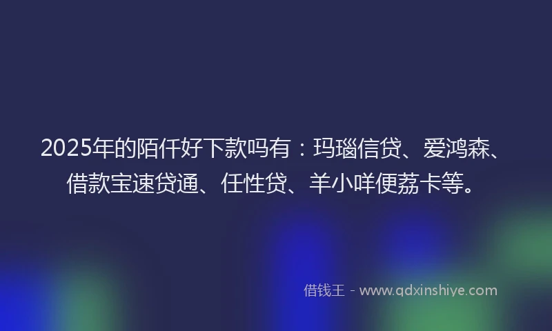 2025年的陌仟好下款吗有：玛瑙信贷、爱鸿森、借款宝速贷通、任性贷、羊小咩便荔卡等。