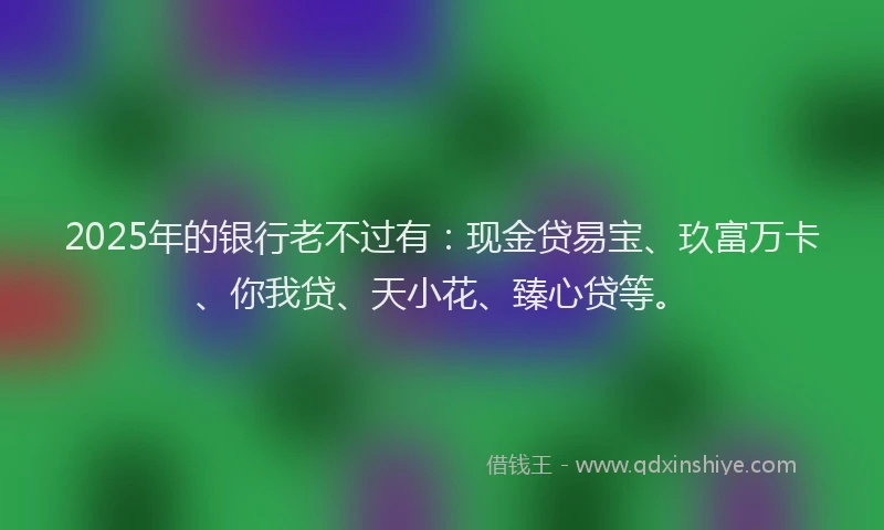 2025年的银行老不过有:现金贷易宝、玖富万卡、你我贷、天小花、臻心贷等。