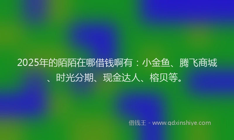 2025年的陌陌在哪借钱啊有：小金鱼、腾飞商城、时光分期、现金达人、榕贝等。