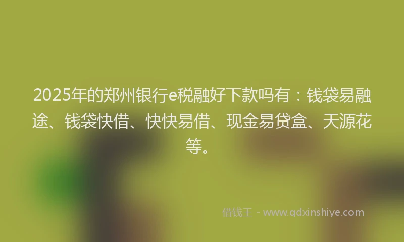 2025年的郑州银行e税融好下款吗有:钱袋易融途、钱袋快借、快快易借、现金易贷盒、天源花等。