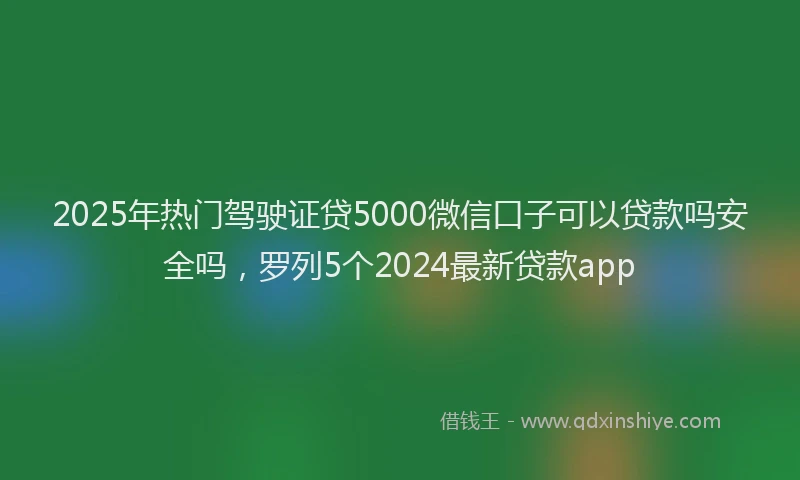 2025年热门驾驶证贷5000微信口子可以贷款吗安全吗，罗列5个2024最新贷款app