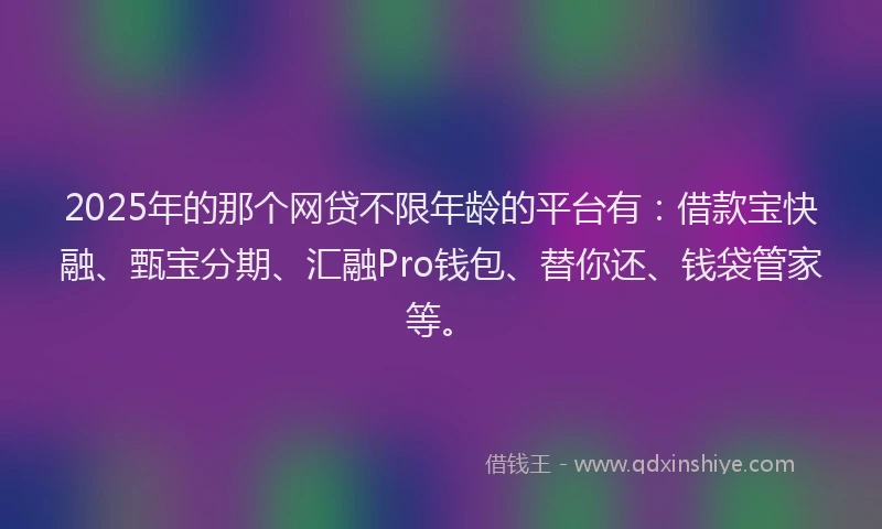 2025年的那个网贷不限年龄的平台有：借款宝快融、甄宝分期、汇融Pro钱包、替你还、钱袋管家等。