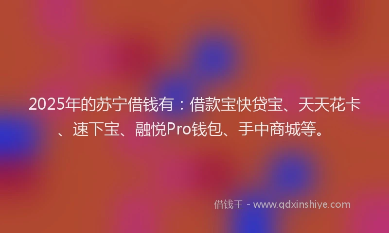 2025年的苏宁借钱有：借款宝快贷宝、天天花卡、速下宝、融悦Pro钱包、手中商城等。