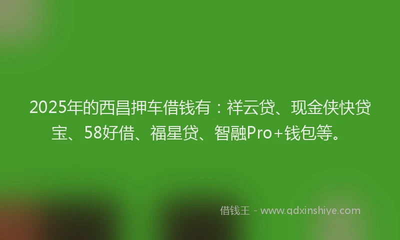 2025年的西昌押车借钱有：祥云贷、现金侠快贷宝、58好借、福星贷、智融Pro+钱包等。