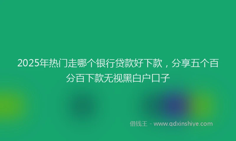 2025年热门走哪个银行贷款好下款，分享五个百分百下款无视黑白户口子