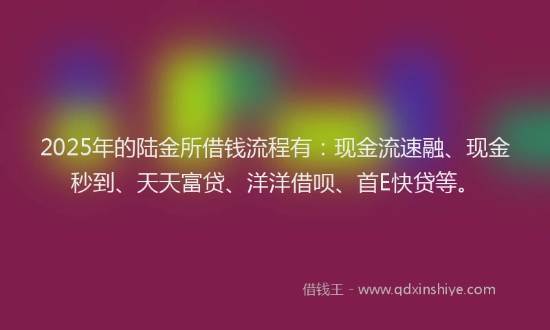 2025年的陆金所借钱流程有：现金流速融、现金秒到、天天富贷、洋洋借呗、首E快贷等。