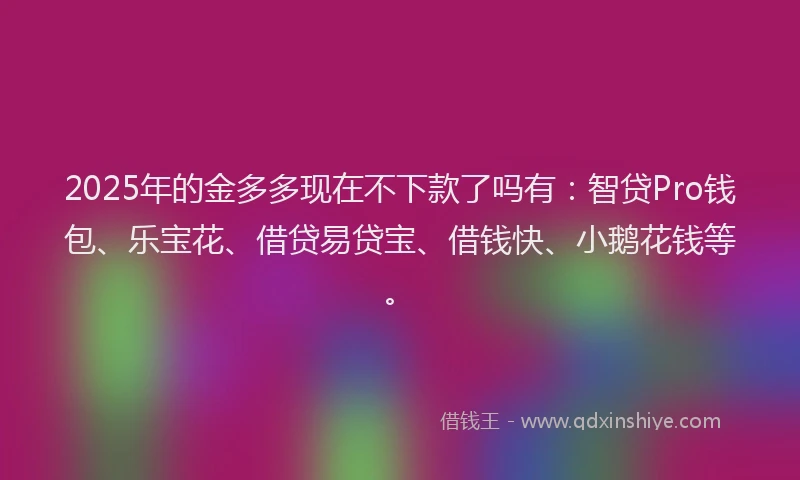 2025年的金多多现在不下款了吗有:智贷Pro钱包、乐宝花、借贷易贷宝、借钱快、小鹅花钱等。