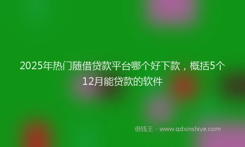 2025年热门随借贷款平台哪个好下款，概括5个12月能贷款的软件