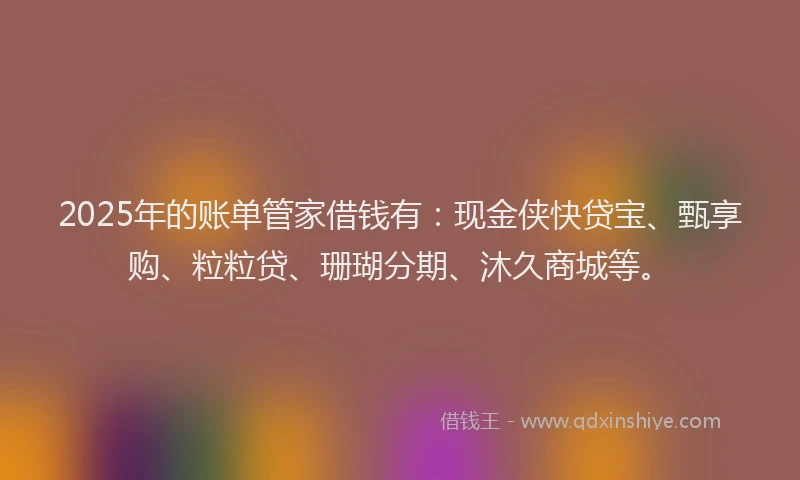 2025年的账单管家借钱有：现金侠快贷宝、甄享购、粒粒贷、珊瑚分期、沐久商城等。