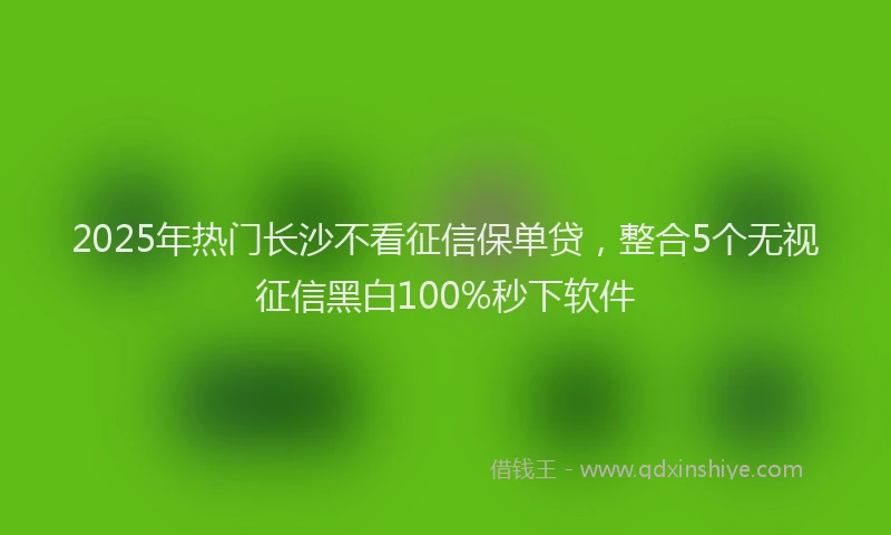2025年热门长沙不看征信保单贷,整合5个无视征信黑白100%秒下软件