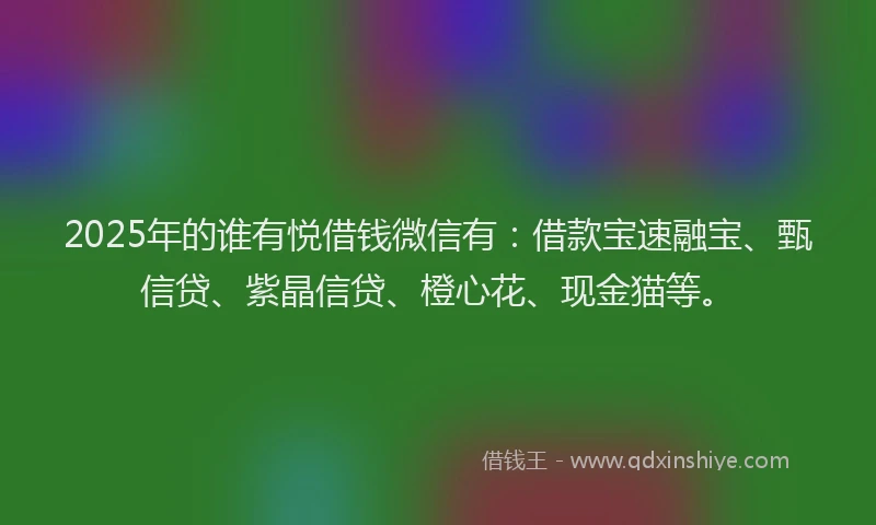 2025年的谁有悦借钱微信有：借款宝速融宝、甄信贷、紫晶信贷、橙心花、现金猫等。