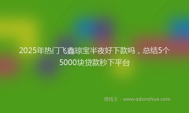2025年热门飞鑫琼宝半夜好下款吗，总结5个5000块贷款秒下平台