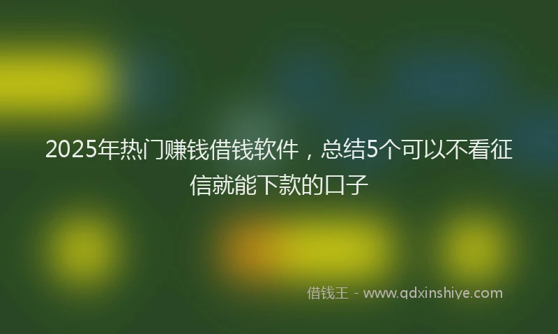 2025年热门赚钱借钱软件,总结5个可以不看征信就能下款的口子
