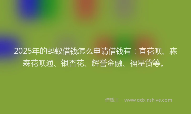 2025年的蚂蚁借钱怎么申请借钱有:宜花呗、森森花呗通、银杏花、辉誉金融、福星贷等。