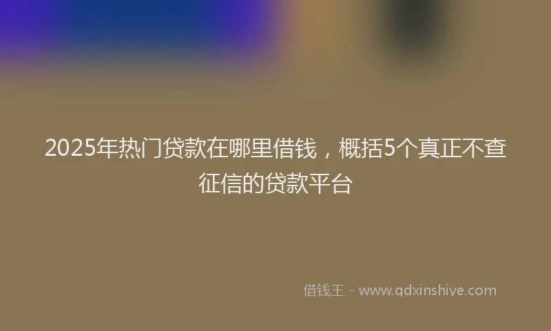 2025年热门贷款在哪里借钱,概括5个真正不查征信的贷款平台